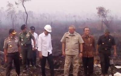 Jokowi Intruksikan Usut Pembiaran Lahan Terbakar