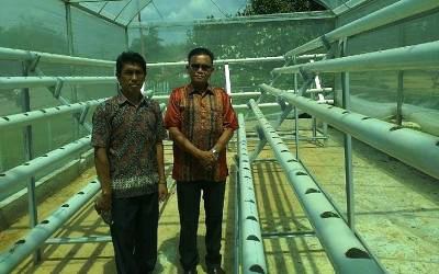 5 Sekolah Binaan BLH Bengkalis Raih Adiwiyata Nasional