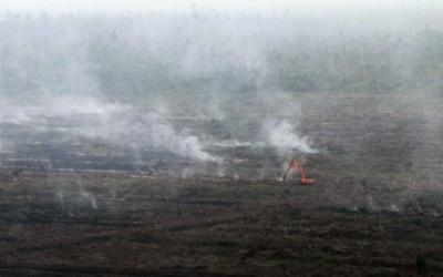 Lahan RAPP Sektor Pelalawan ikut Sumbang Asap Kuning