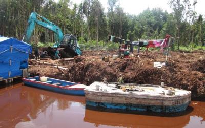 Kanal PT RAPP Rusak Lahan Gambut Pulau Padang