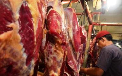 Sekitar 3 Tahun Harga Daging Sapi Tidak Pernah Turun