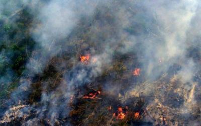 Satelit Deteksi Lima Hotspot, Dua Titik di Riau