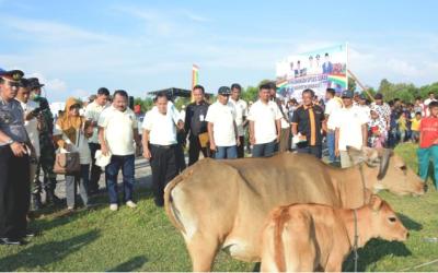 Pemkab Gulirkan Program Upsus Siwab untuk 6 Kelompok Tani