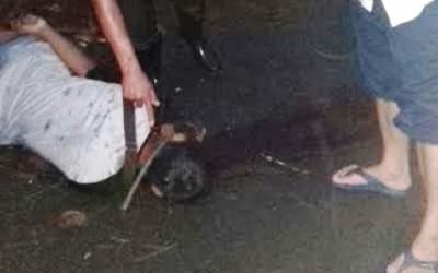 Tertimpa Pohon Pinus, Edy Ponorogo Tewas Seketika