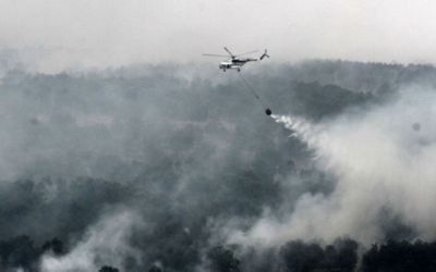 Pakar Anggap LSM Salah Data Soal Kebakaran Hutan di Papua