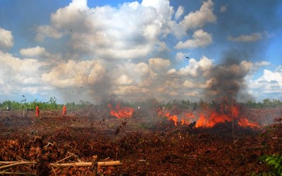 112 Titik Panas Akibat Karhutla Kepung Riau