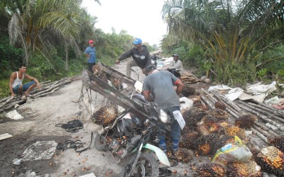 Jalan Teluk Pulai Palika Perbatasan Sumut Perlu Perhatian