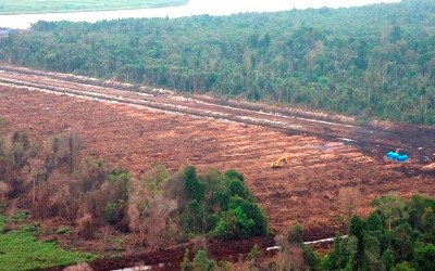 Pengelolaan Lahan Gambut  APP Ancam Banjir dan Kekeringan