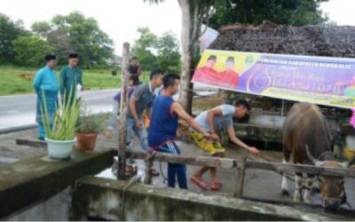 Plt Sekda Tinjau Hewan Kurban di Desa Senggoro