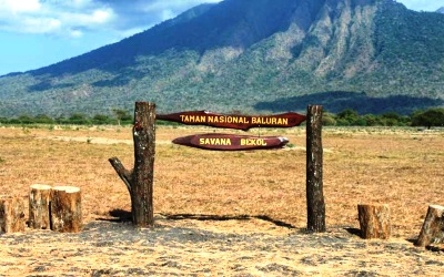 Savana Bekol Andalan Wisata Alam Baluran