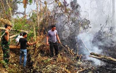 BNPB Sebut Karlahut di Riau Akibat Sengaja Dibakar