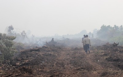 Data BMKG Titik Api di Sumatera Bertambah 283 Lokasi