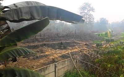 Bakar Lahan Pekarangan 150 M, Victor Siagian di Tangkap