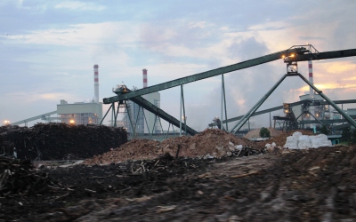 Kekurangan Bahan Baku, Riau Pulp Banyak Tabrak Aturan
