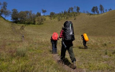 Gunung Guntur Kebakaran, Puluhan Pendaki Terjebak