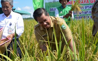 Pj Bupati Minta Petani Tidak Alihfungsikan Lahan