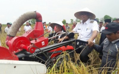 Bupati Ingin Rohil Jadi Percontohan Swasembada Pangan