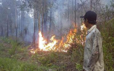 21 Berkas Telah Dilimpah dari 32 Tersangka Karhutla di Riau