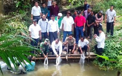 Disnakan Rohul Tebar 10 Ribu Benih Ikan Di Dusun Sei Deras